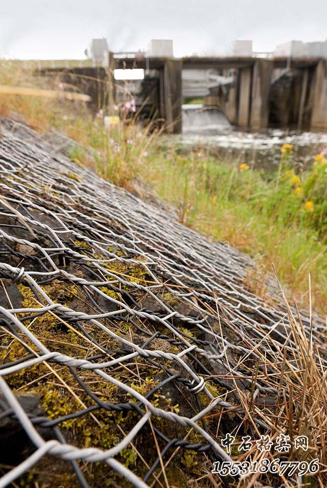 雙隔板雷諾護墊